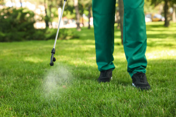 Best Commercial Pest Control Services  in Pinewood Estates, TX