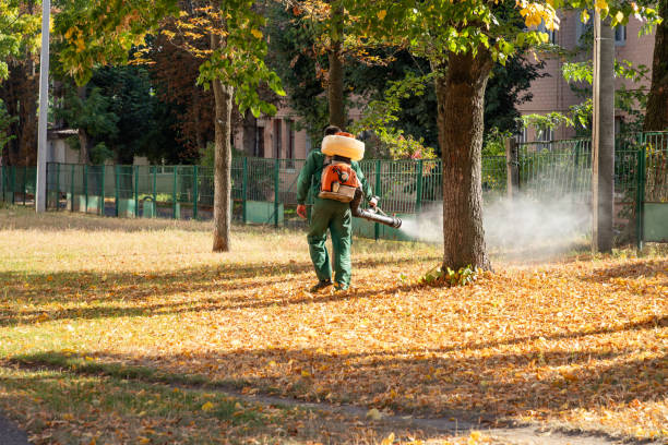 Best Flea Control Services  in Pinewood Estates, TX