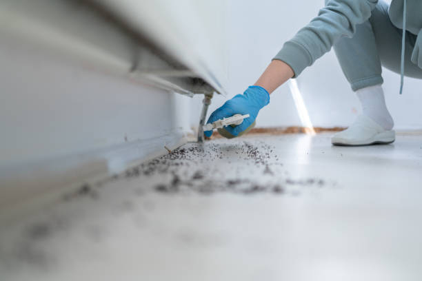Best Best Pest Control Companies  in Pinewood Estates, TX