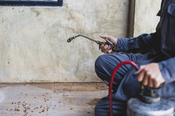 Best Residential Pest Control  in Pinewood Estates, TX